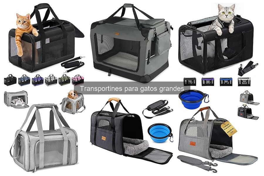 Dónde comprar transportines para gatos grandes: mejores opciones