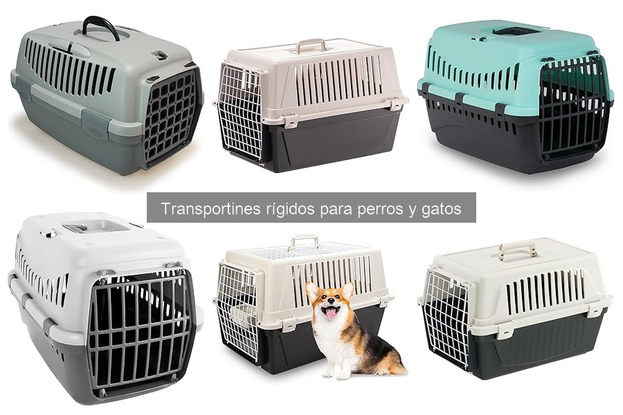 Dónde comprar transportines rígidos para mascotas a buen precio