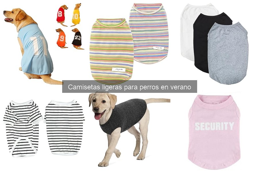 Efectividad de las camisetas ligeras para perros en verano