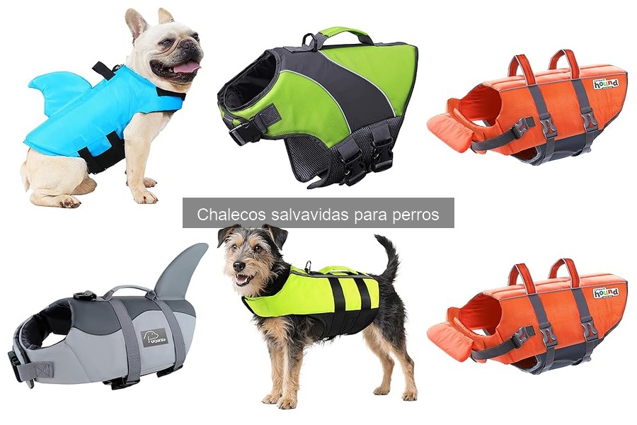 Efectividad de los Chalecos Salvavidas para Perros en Rescates