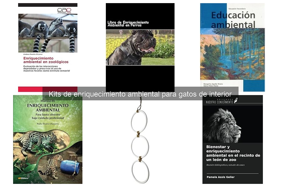 Efectos de la falta de enriquecimiento ambiental en gatos