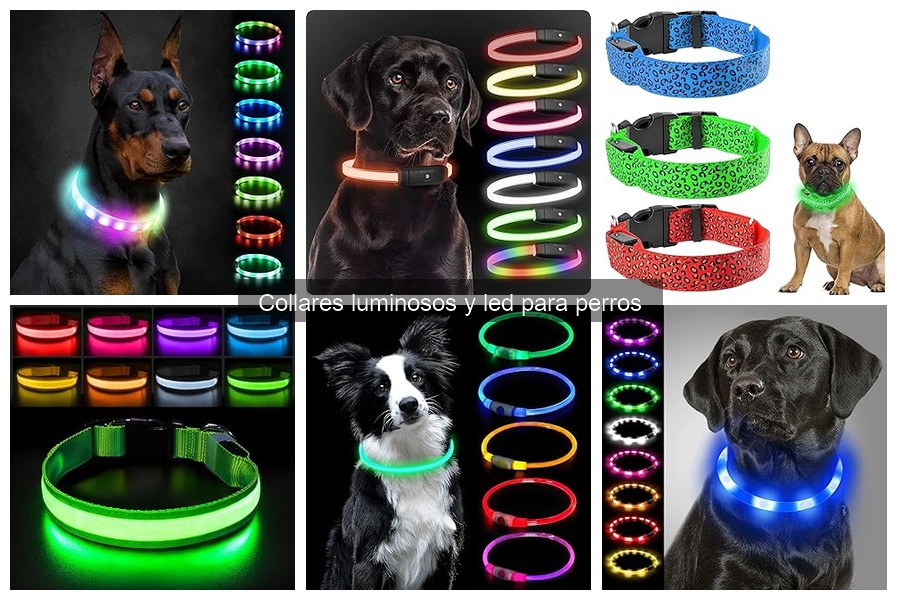 Efectos de los Collares Luminosos en la Salud de los Perros