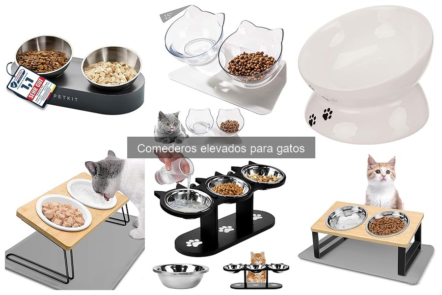 Efectos de los Comederos Elevados en la Salud de los Gatos