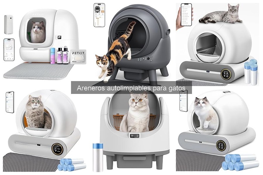 Efectos del Arenero Autolimpiable en la Salud de los Gatos