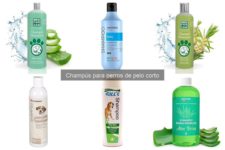 Efectos del Mal Mantenimiento del Pelaje en Perros de Pelo Corto