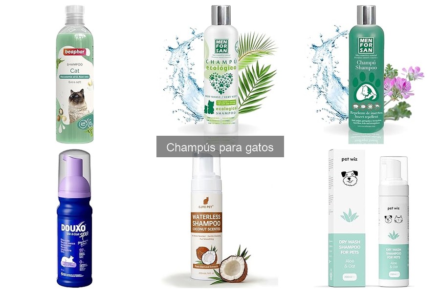 Efectos Negativos de Champús para Perros en Gatos