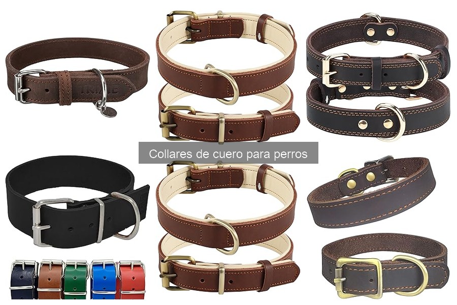 Elige el Mejor Collar de Cuero para Tu Perro: Guía Práctica