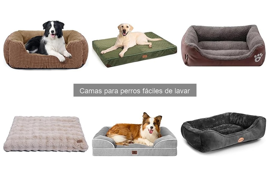Errores a evitar al comprar camas para perros lavables