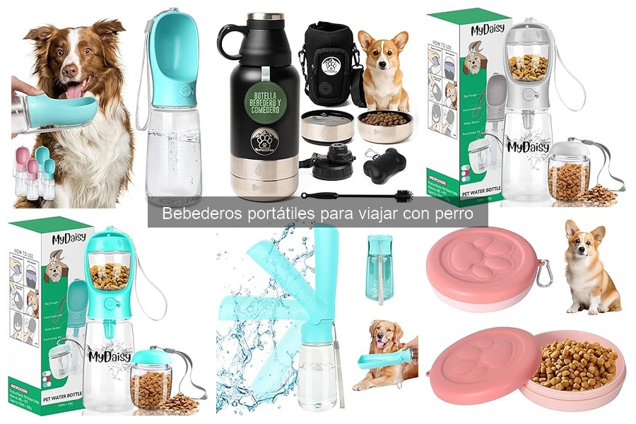 Errores al elegir un bebedero portátil para perros