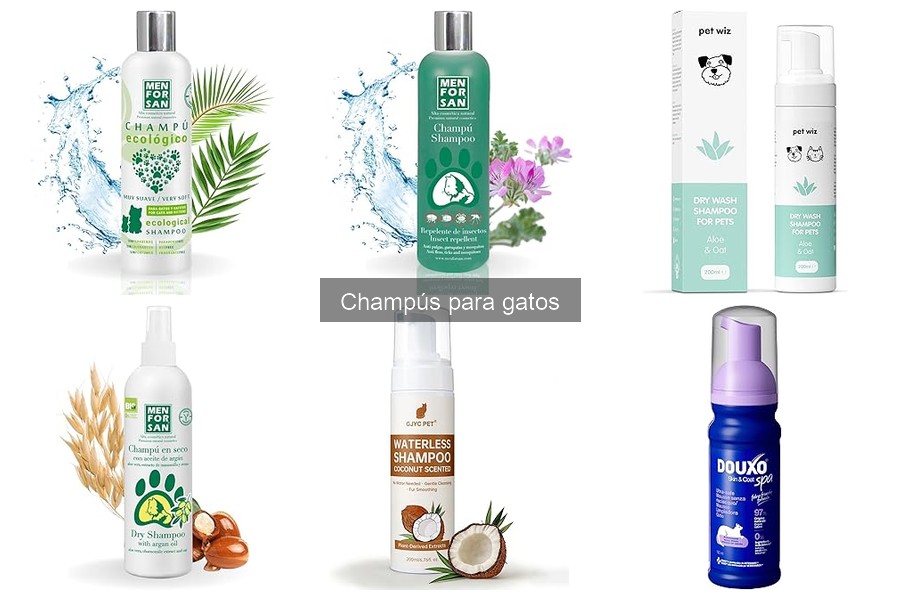 Errores comunes al bañar a tu gato y cómo evitarlos