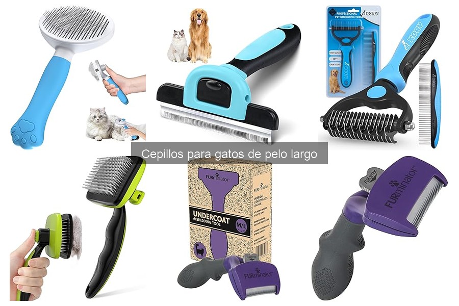Errores Comunes al Cepillar Gatos de Pelo Largo