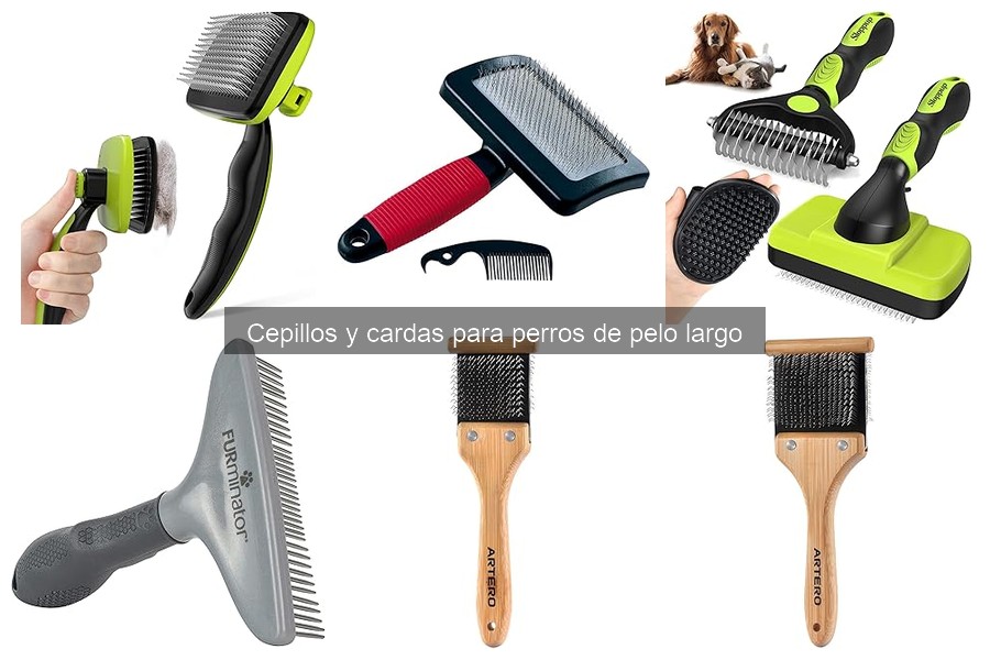 Errores comunes al cepillar perros de pelo largo y soluciones