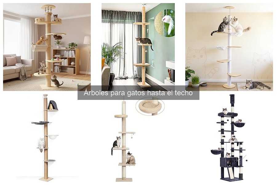 Errores comunes al comprar árboles para gatos hasta el techo
