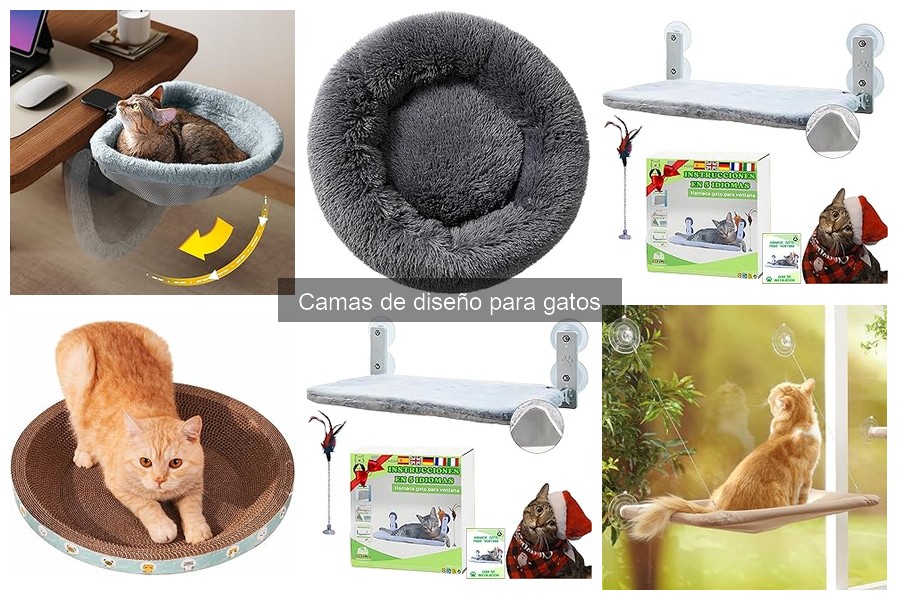 Errores comunes al comprar camas de diseño para gatos