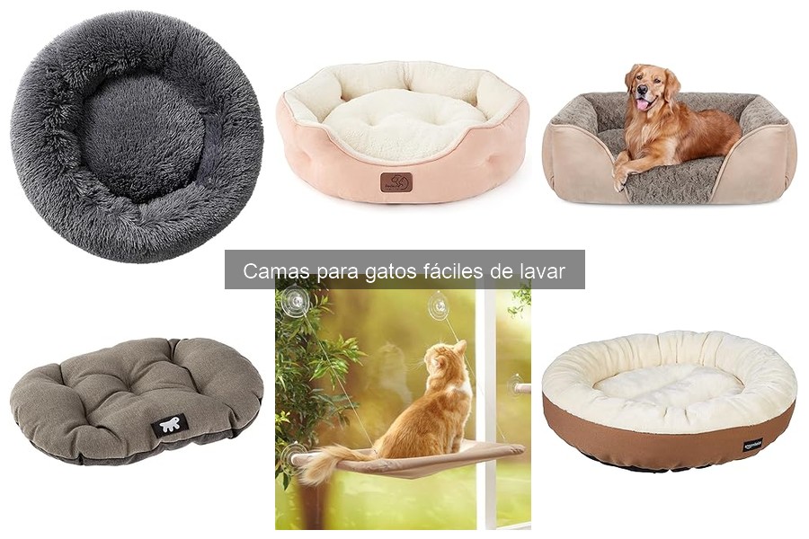 Errores comunes al comprar camas para gatos: ¡Evítalos!