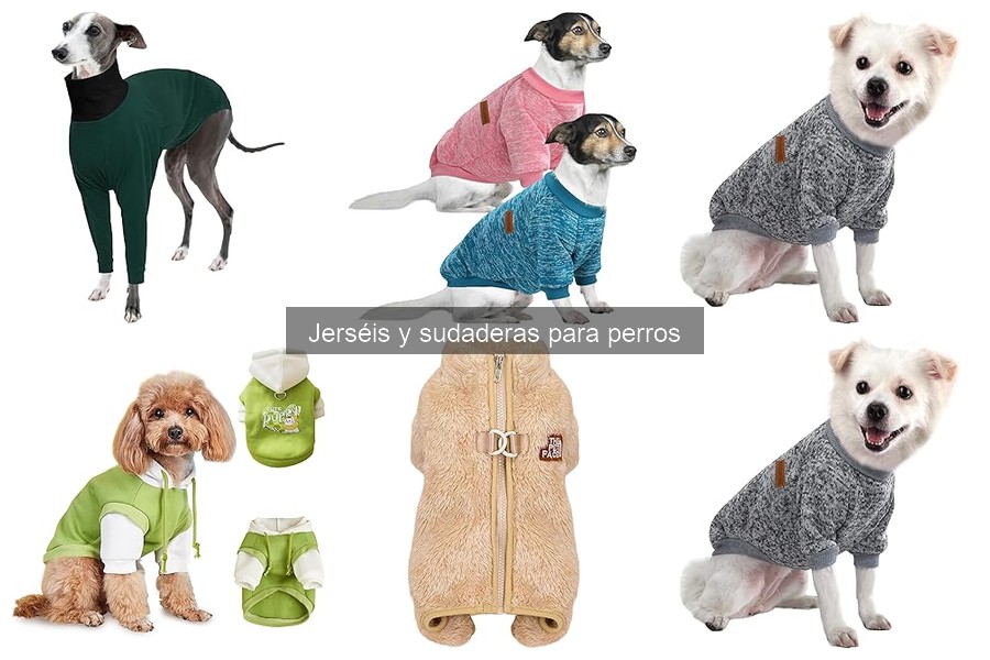 Errores comunes al comprar jerséis y sudaderas para perros