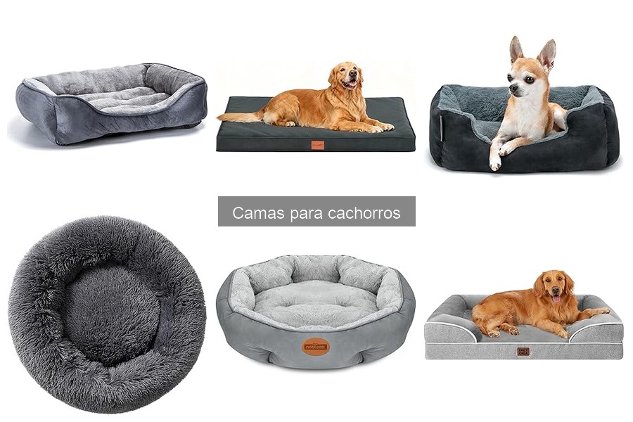 Errores comunes al elegir camas para cachorros