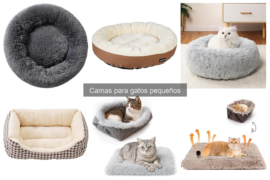 Errores comunes al elegir camas para gatos pequeños