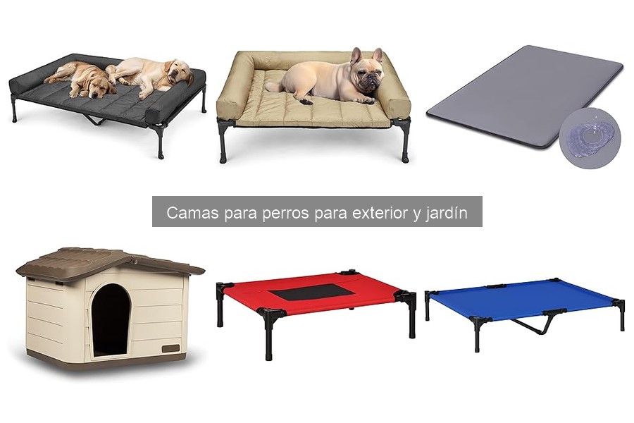 Errores comunes al elegir camas para perros de exterior