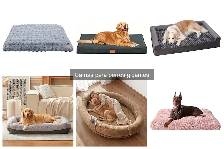 Errores comunes al elegir camas para perros gigantes