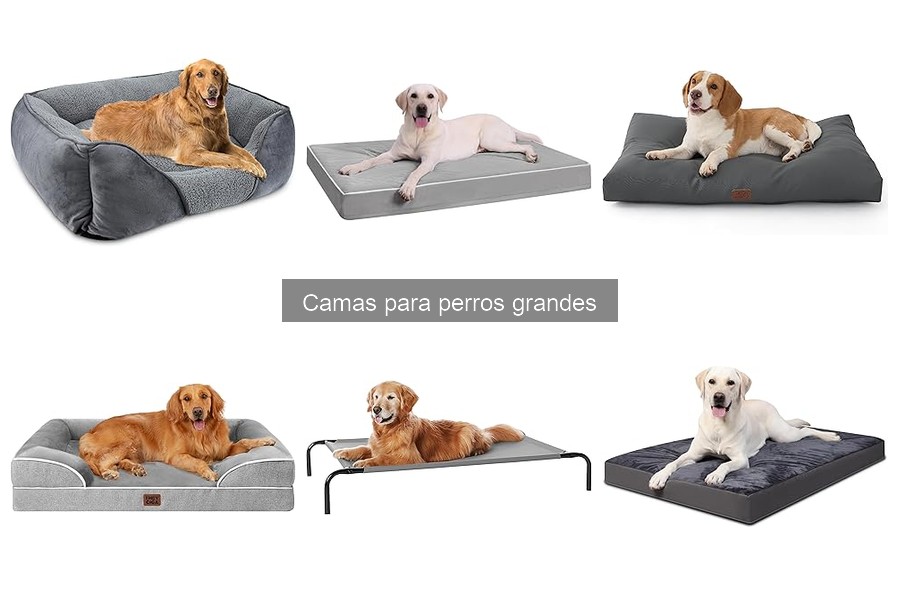 Errores comunes al elegir camas para perros grandes