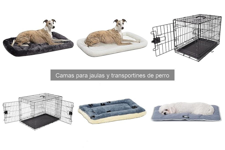 Errores comunes al elegir camas para transportines de perros