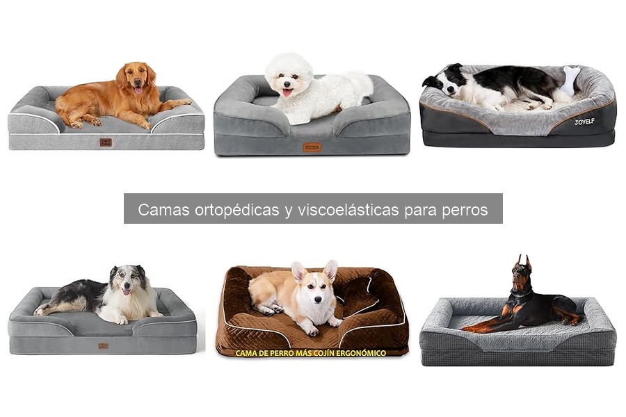 Errores comunes al elegir camas viscoelásticas para perros
