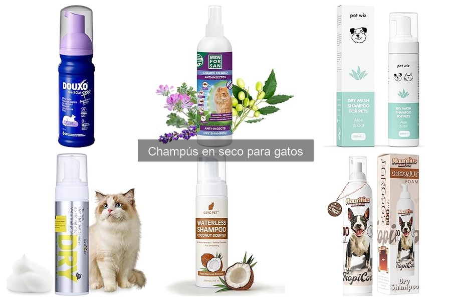 Errores comunes al elegir champús en seco para gatos