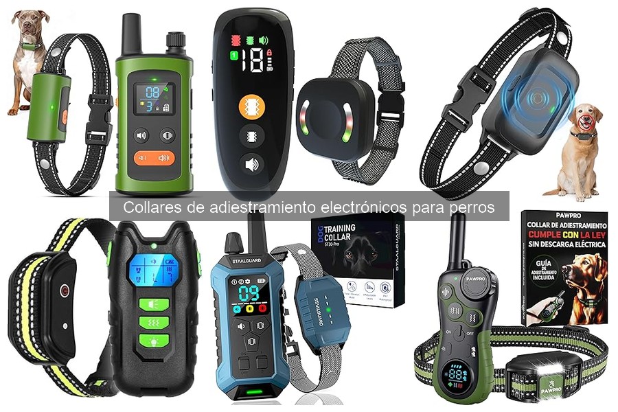 Errores comunes al elegir collares de adiestramiento electrónico