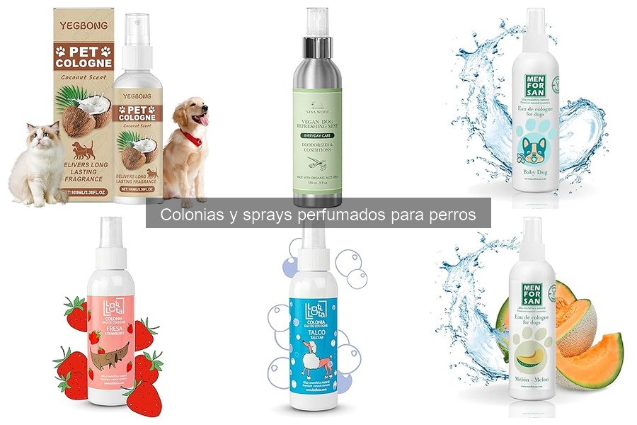 Errores comunes al elegir colonias y sprays para perros