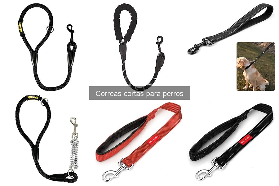 Errores comunes al elegir correas cortas para perros