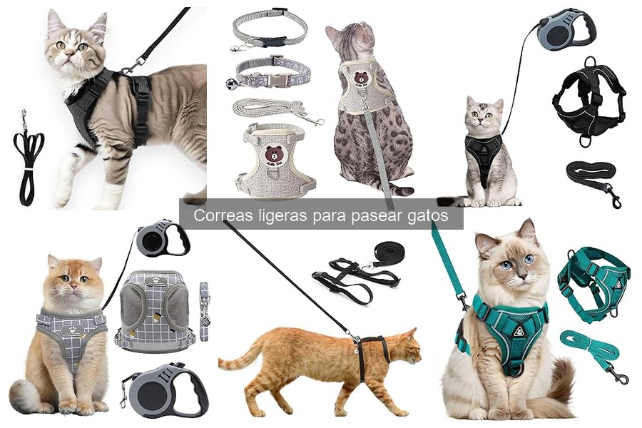 Errores comunes al elegir correas ligeras para gatos