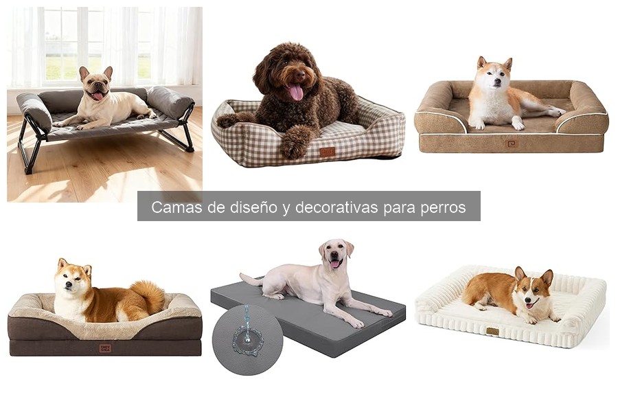 Errores comunes al elegir la cama adecuada para tu perro