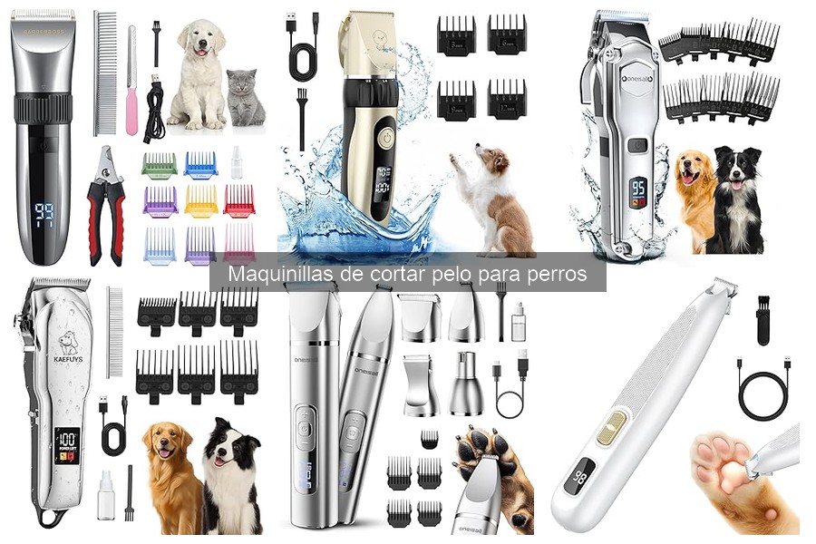 Errores comunes al elegir maquinillas de cortar pelo para perros