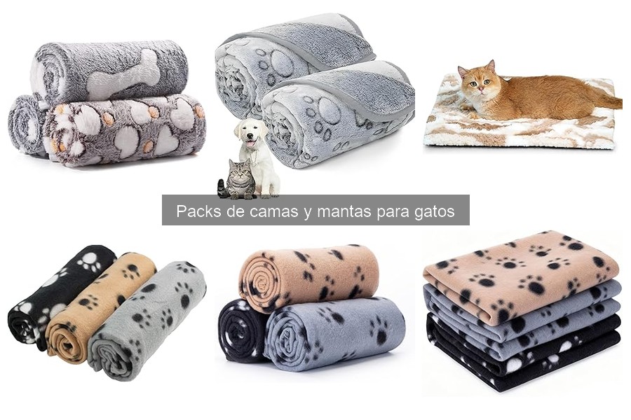 Errores comunes al elegir packs de camas y mantas para gatos