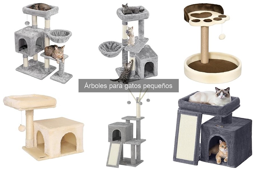 Errores comunes al elegir un árbol para gatos pequeños