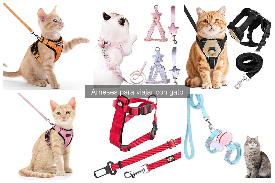 Errores comunes al elegir un arnés para gatos al viajar