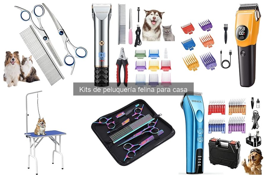 Errores comunes al elegir un kit de peluquería para gatos