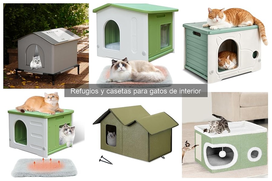 Errores comunes al elegir una caseta para gatos de interior