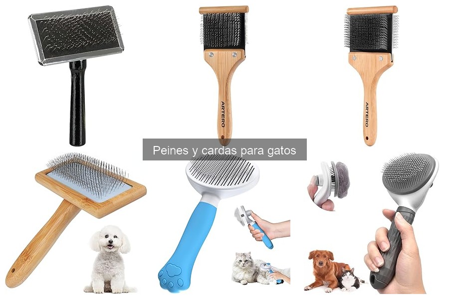 Errores comunes al peinar a tu gato y cómo evitarlos