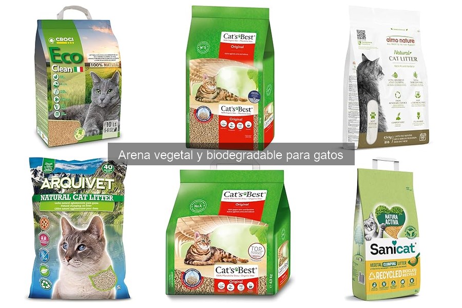 Errores comunes al usar arena biodegradable para gatos
