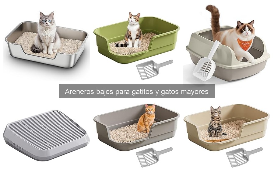 Errores comunes al usar areneros bajos para gatos