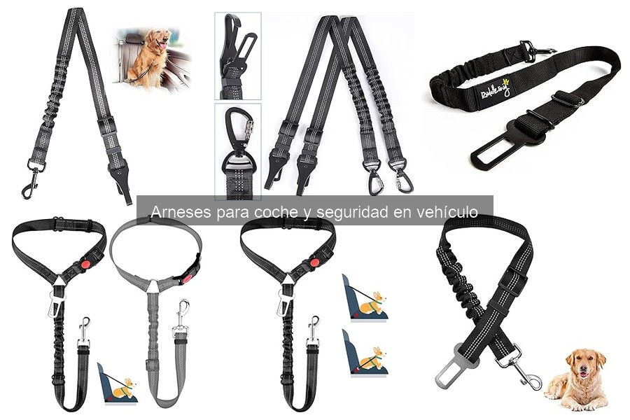 Errores comunes al usar arneses de coche para perros