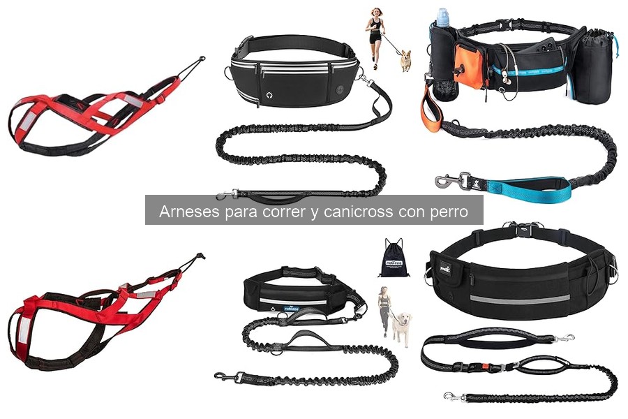 Errores comunes al usar arneses para correr con perros