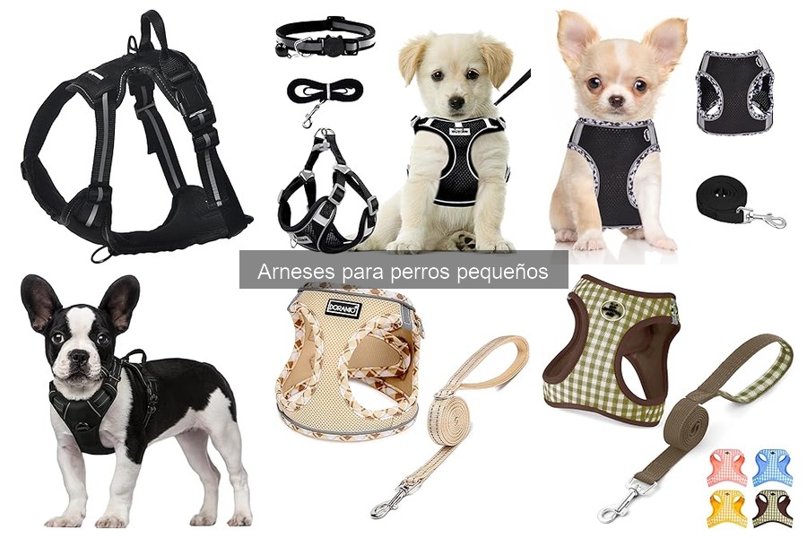 Errores comunes al usar arneses para perros pequeños