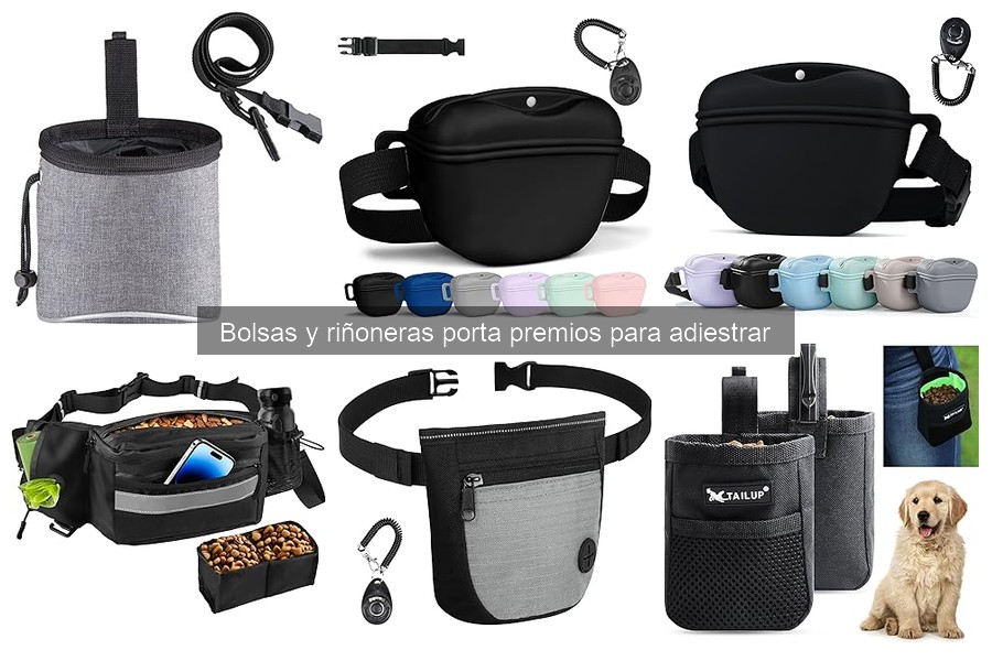Errores comunes al usar bolsas porta premios en el adiestramiento