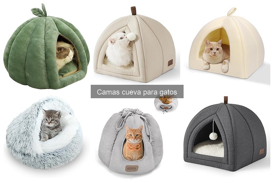 Errores comunes al usar camas cueva para gatos
