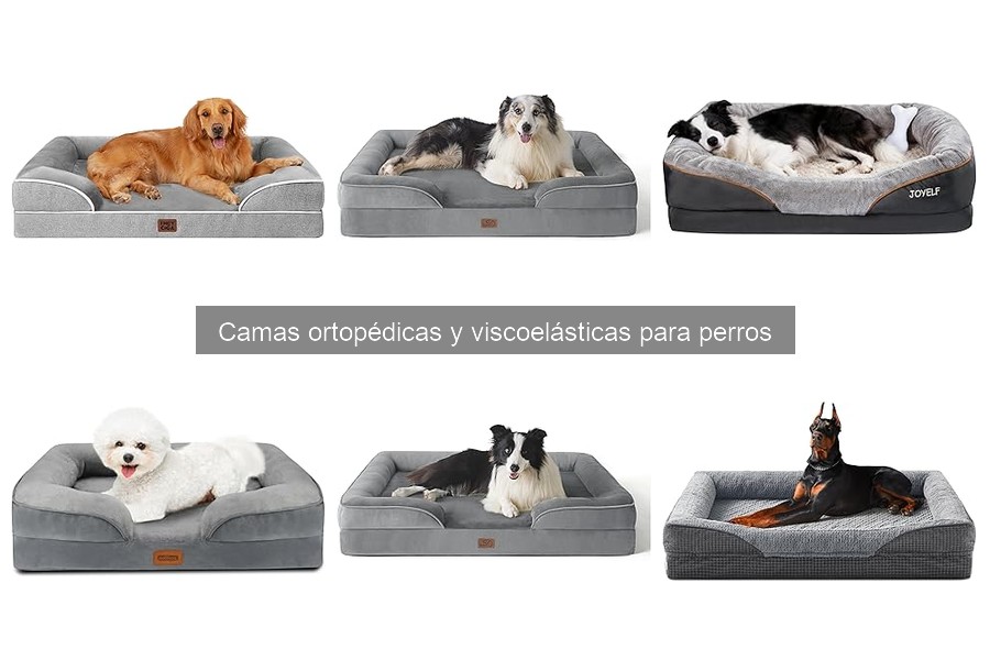 Errores comunes al usar camas ortopédicas para perros