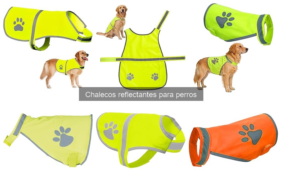 Errores comunes al usar chalecos reflectantes para perros