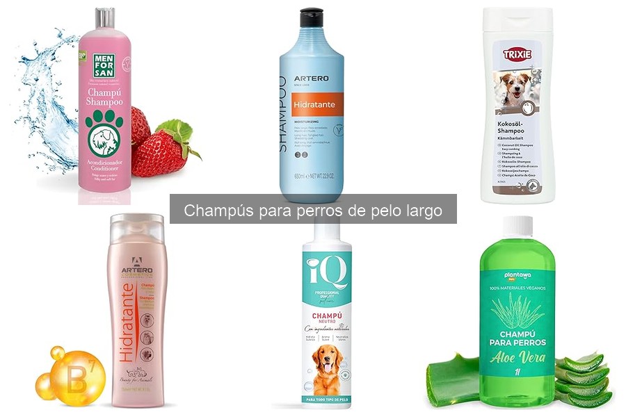 Errores comunes al usar champús para perros de pelo largo